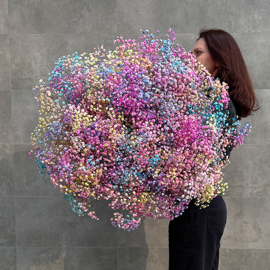 Bukiet kolorowej, tęczowej gipsówki