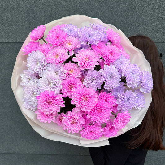 Bukiet różowo-fioletowych chryzantem – pastelowy bukiet