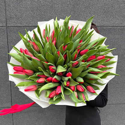 Bukiet z czerwonych tulipanów