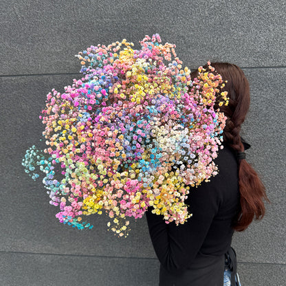 Bukiet kolorowej, tęczowej gipsówki