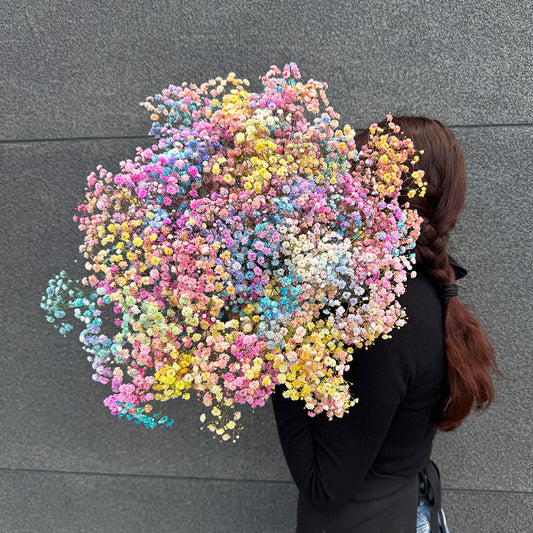 Bukiet kolorowej, tęczowej gipsówki