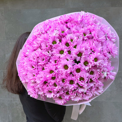 Różowy bukiet margaretek