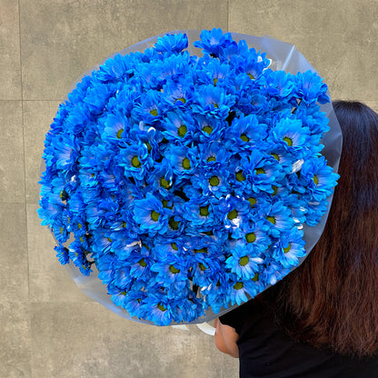 Bukiet niebieskich chryzantem