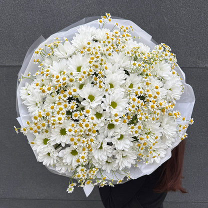 Bukiet z białych chryzantem i santinii