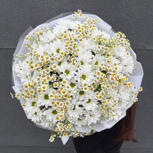 Bukiet z białych chryzantem i santinii