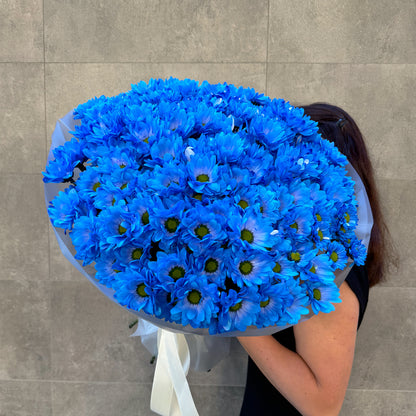 Bukiet niebieskich chryzantem