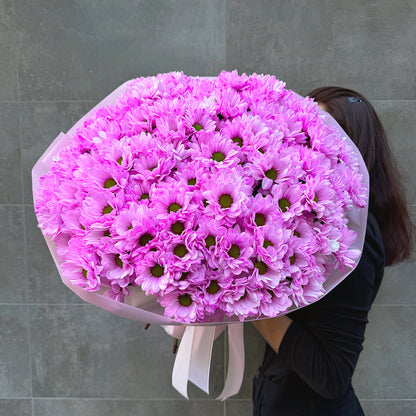 Różowy bukiet margaretek